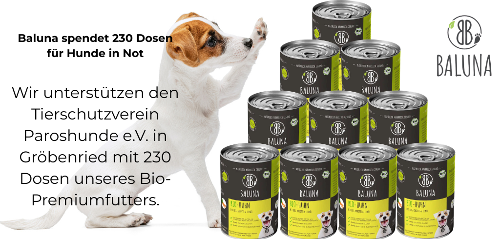 Baluna spendet 230 Dosen Futter an Paroshunde e.V.