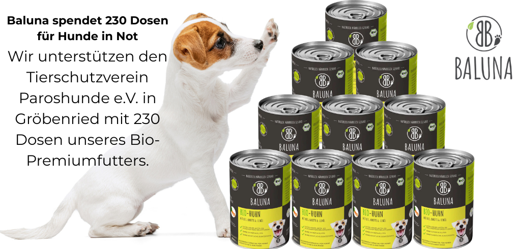 Baluna spendet 230 Dosen Bio-Hundefutter an den Tierschutzverein Paroshunde e.V. in Gröbenried – Hund neben Futterdosenstapel.