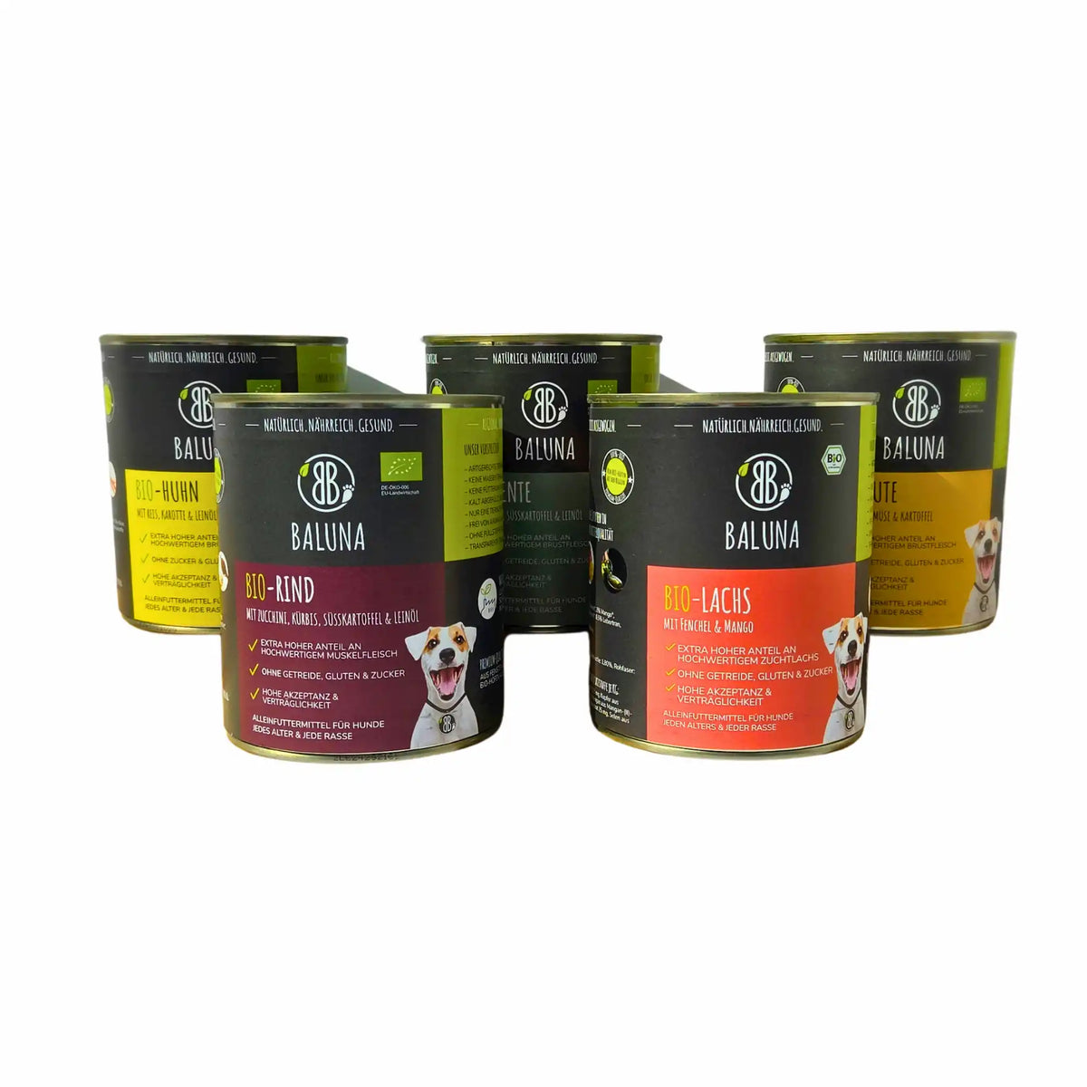 Bio-Hundefutter Probierpaket 800g
