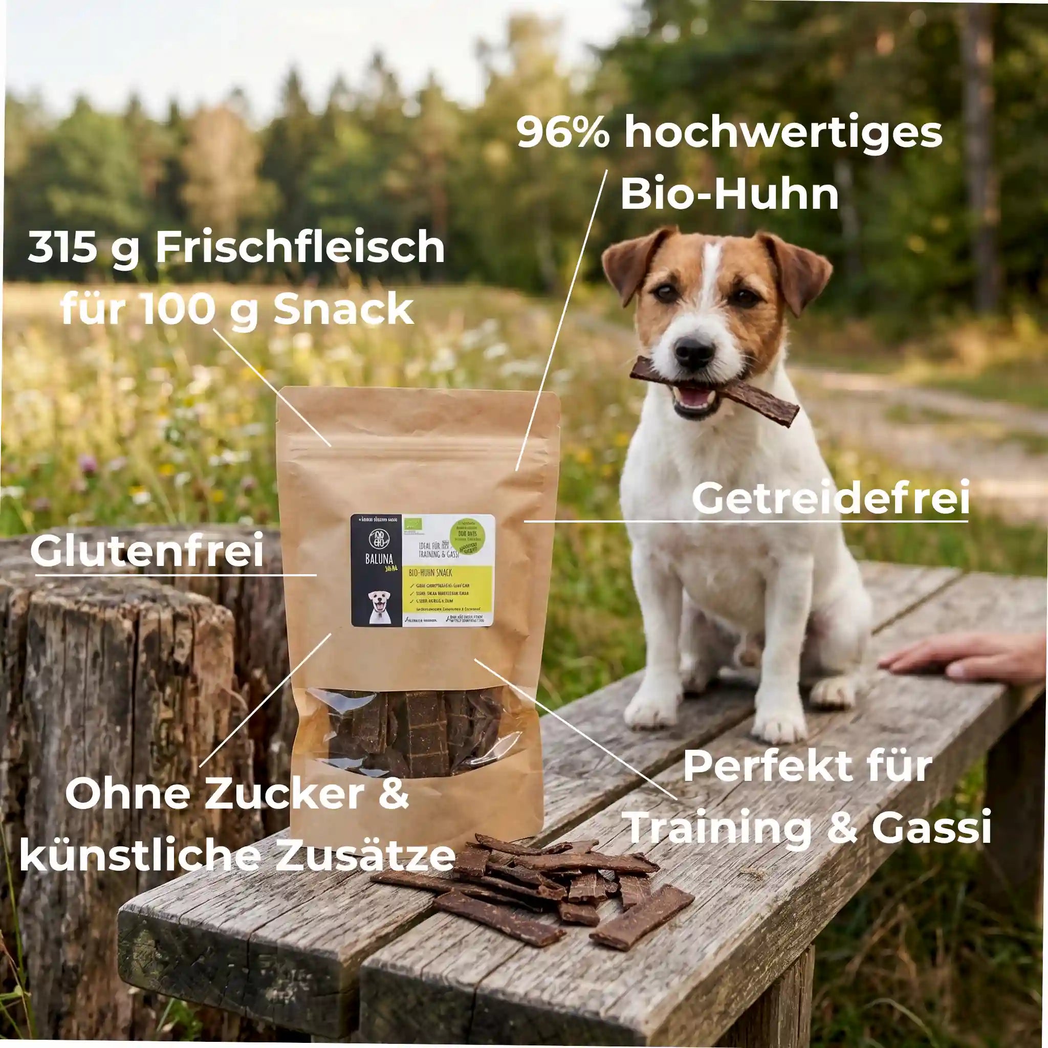 Bio-Huhn Snack für Hunde