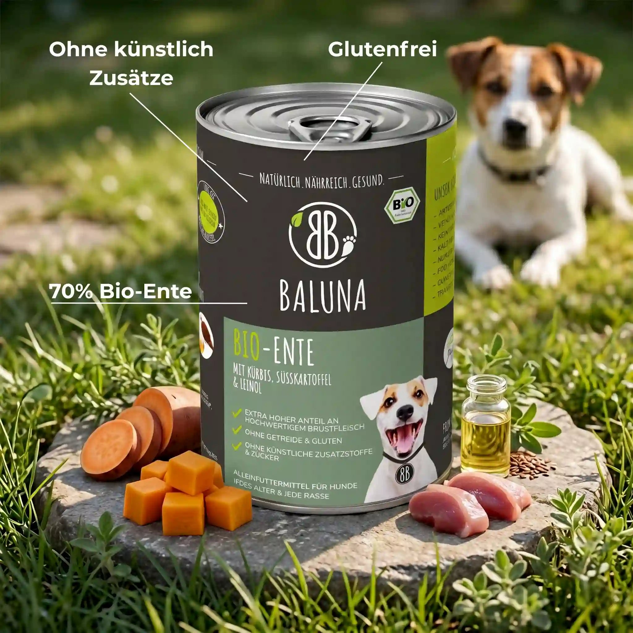 Bio-Ente mit Kürbis & Süßkartoffel