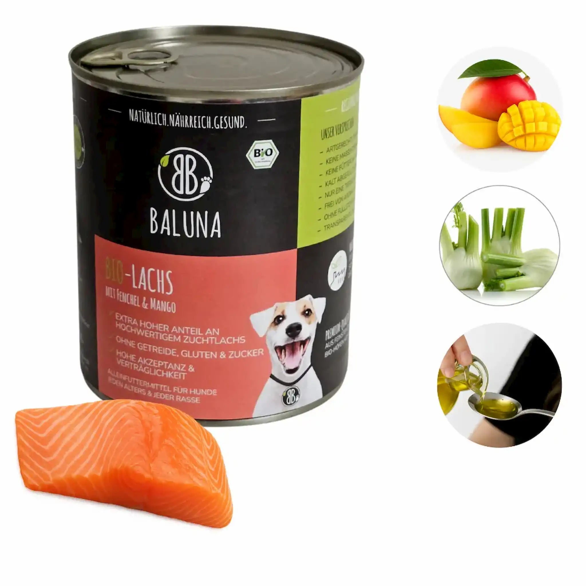 baluna-bio-nassfutter-lachs-800g-mit-mango-fenchel-und-oel-hochwertige-zutaten-ohne-getreide-und-zucker-fuer-hunde