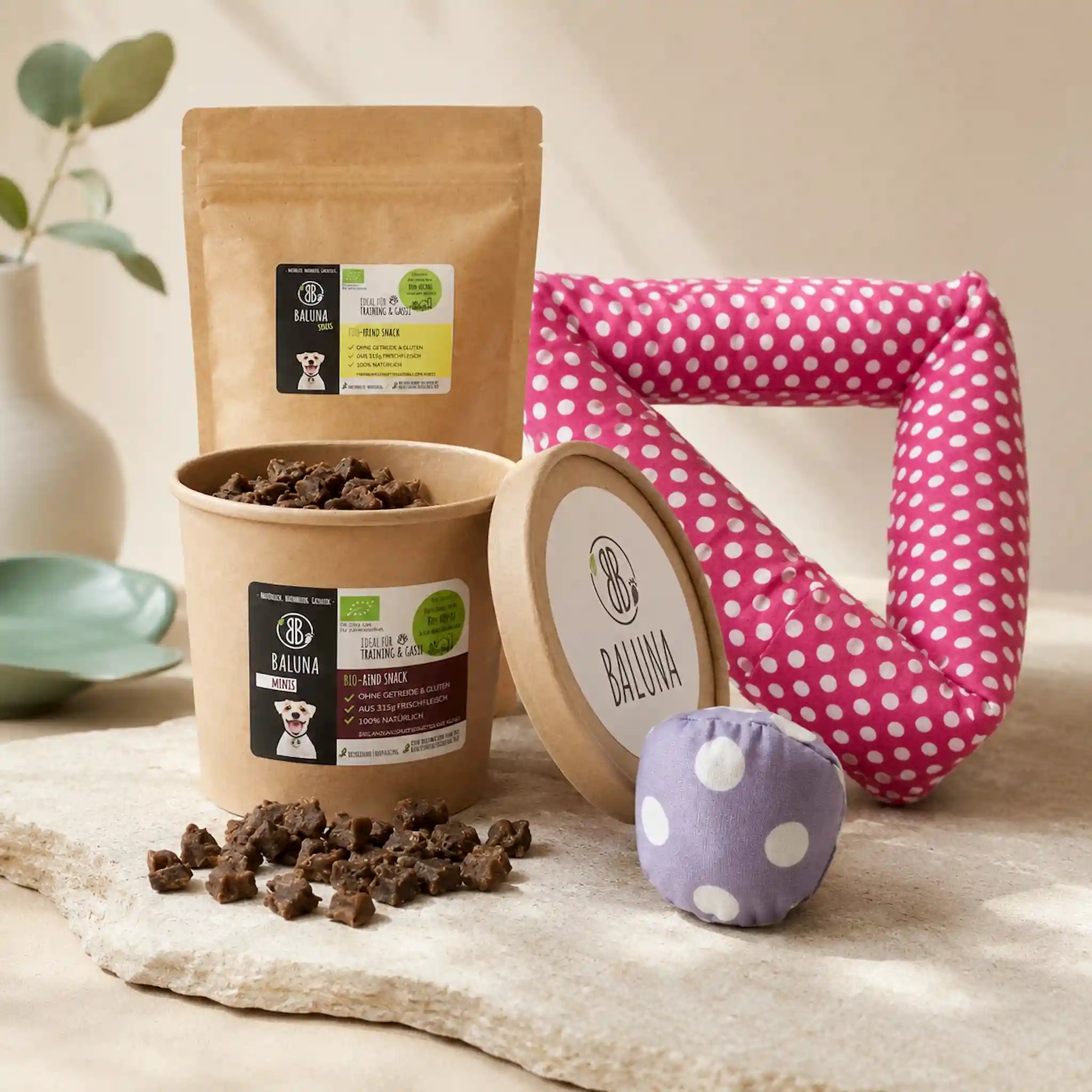 Großes Paket für Hunde: Snacks & Spielzeug