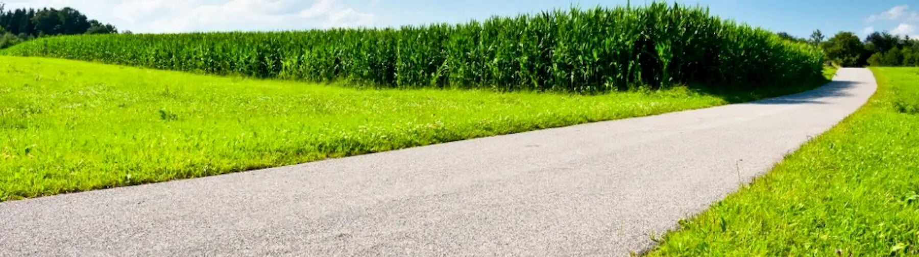 laendliche-straße-zwischen-gruenen-wiesen-und-maisfeldern-als-symbol-fuer-den-regionalen-lieferservice-von-baluna