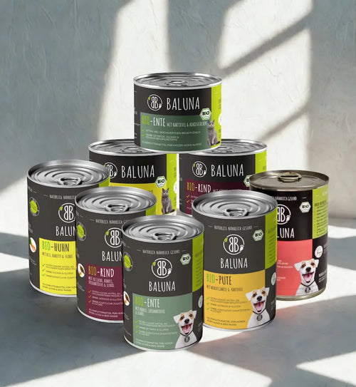 baluna-probierpakete-gestapelt-für-hund-und-katze