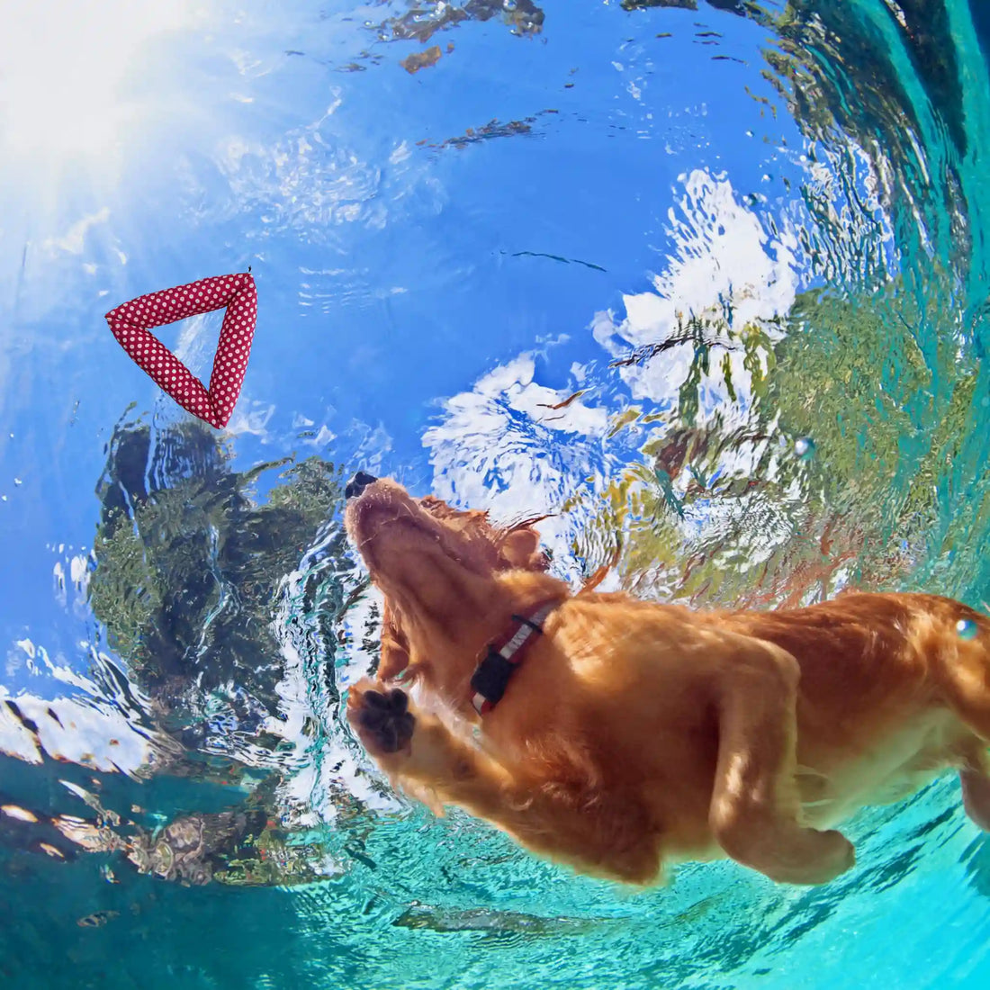 Bio Hundespielzeug Stoff-Dreieck – schwimmfähig &amp; handgefertigt - rot