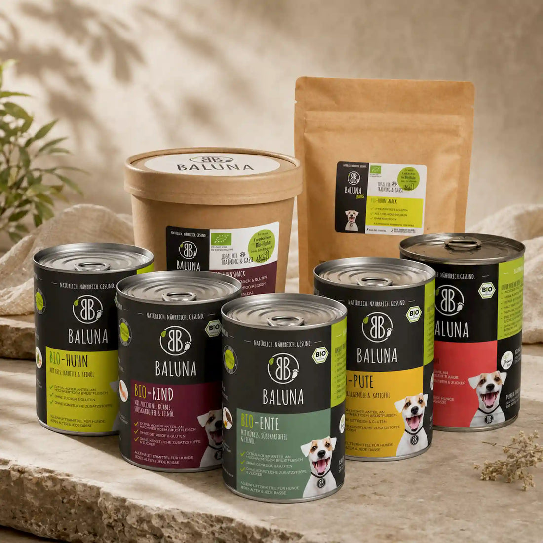 Kennenlernpaket für Hunde 5×400g + 2xSnacks