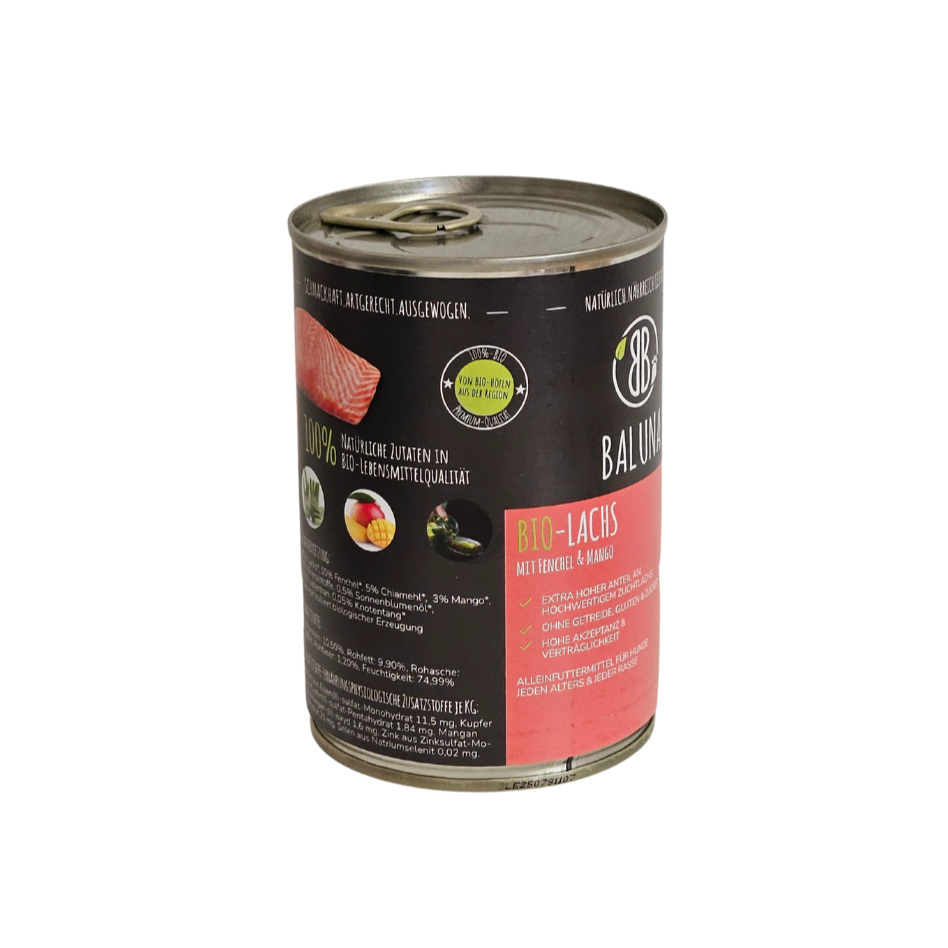 Bio-Lachs mit Fenchel und Mango