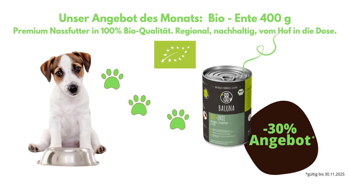 Orange Simple Animal Food  (Facebook Post) (600 x 300 px) (1200 x 630 px) (4).png__PID:77b1f1cc-b5d5-4fe0-a690-1abc4ef730b4