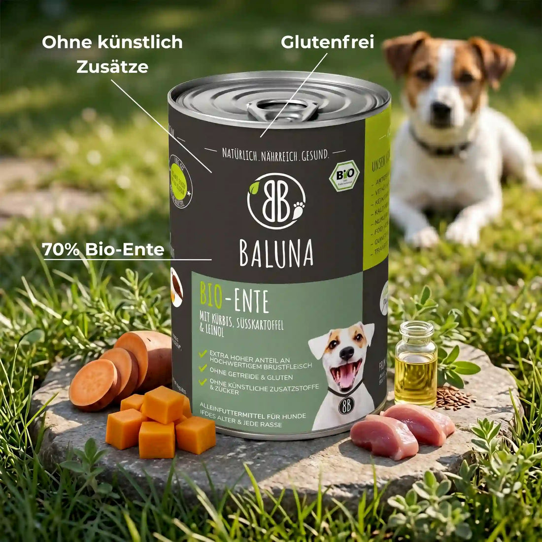 Bio-Ente mit Kürbis &amp; Süßkartoffel