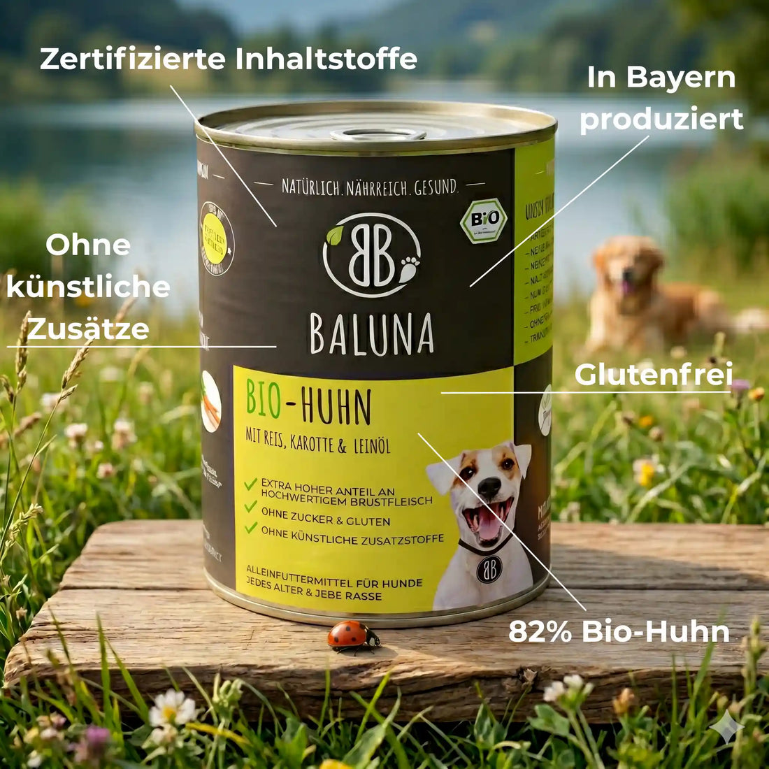 Bio-Huhn mit Reis &amp; Karotte