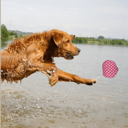 golden retriever hund springt im wasser nach bio hundespielzeug ball mit punkten – baluna