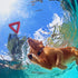hund schwimmt unter wasser richtung rotes hundespielzeug dreieck mit punkten – baluna