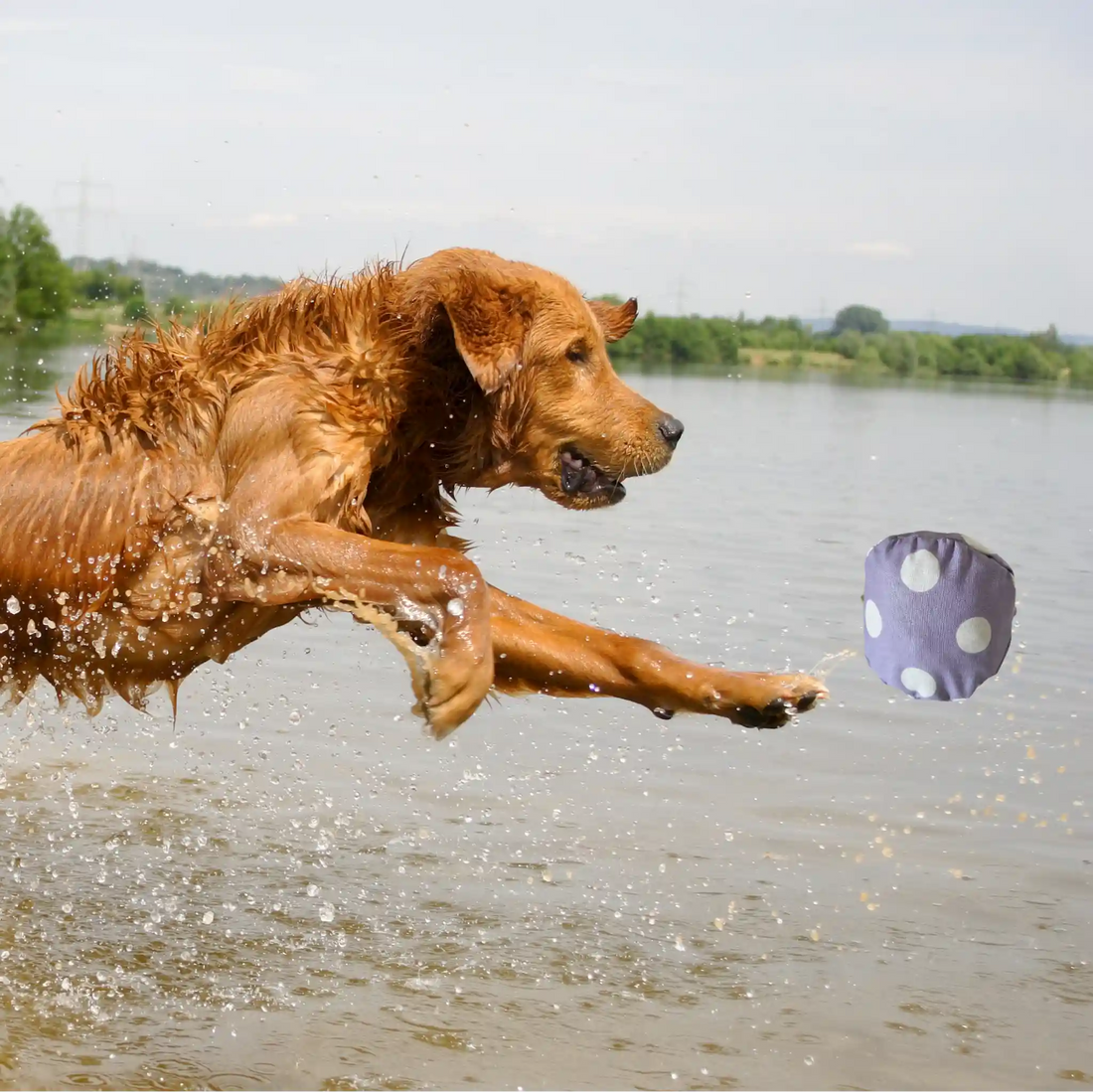 Bio Hundespielzeug Stoff-Ball – schwimmfähig &amp; handgefertigt - grau