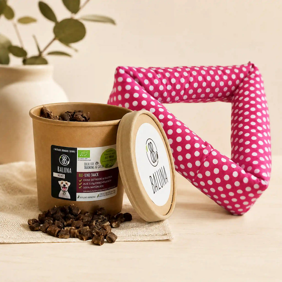 kleines Set für Hunde: Bio-Snack + Spielzeug